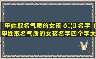 申姓取名气质的女孩 🦈 名字（申姓取名气质的女孩名字四个字大全）